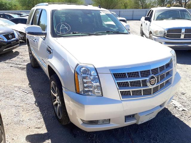 CADILLAC ESCALADE P 2013 1gys4fej4dr287548