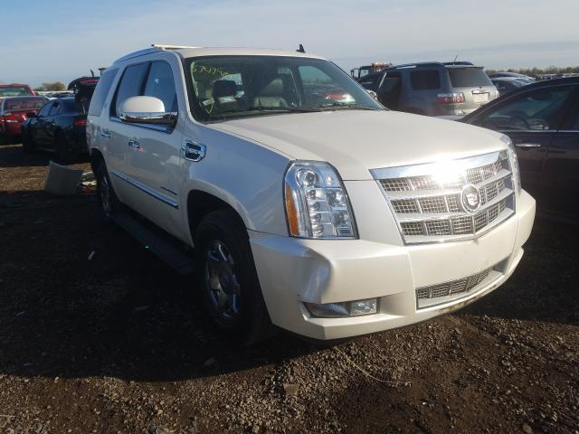 CADILLAC ESCALADE P 2012 1gys4fej5cr216468