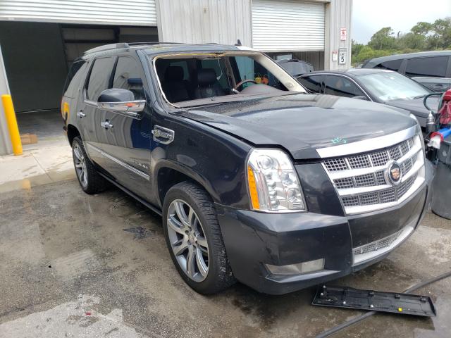 CADILLAC ESCALADE P 2011 1gys4fej6br261708