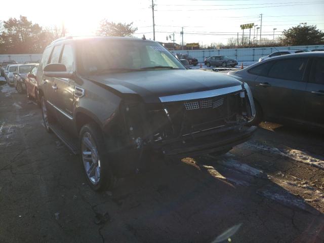 CADILLAC ESCALADE P 2013 1gys4fej6dr282531