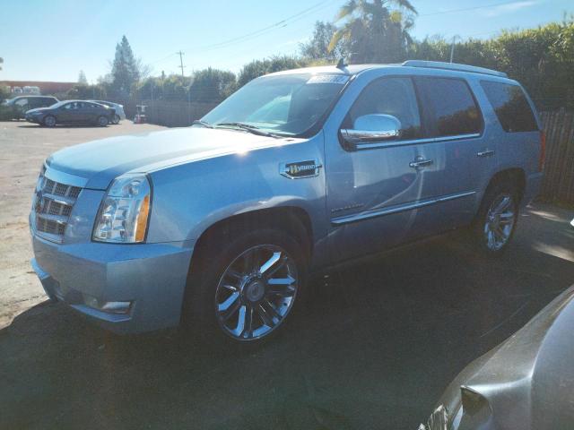 CADILLAC ESCALADE P 2011 1gys4fej7br258171