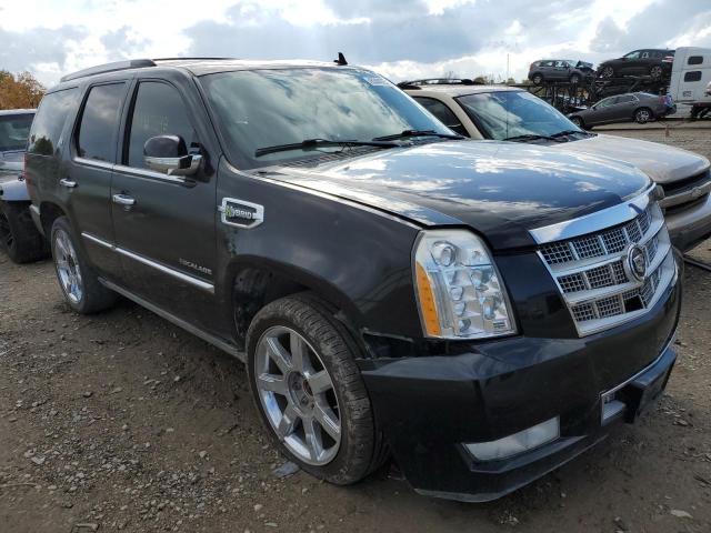 CADILLAC ESCALADE P 2011 1gys4fej9br122821