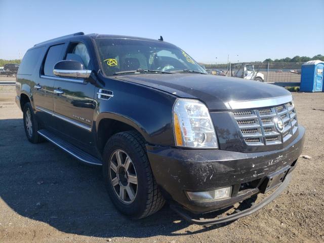 CADILLAC ESCALADE E 2011 1gys4gef8br286210