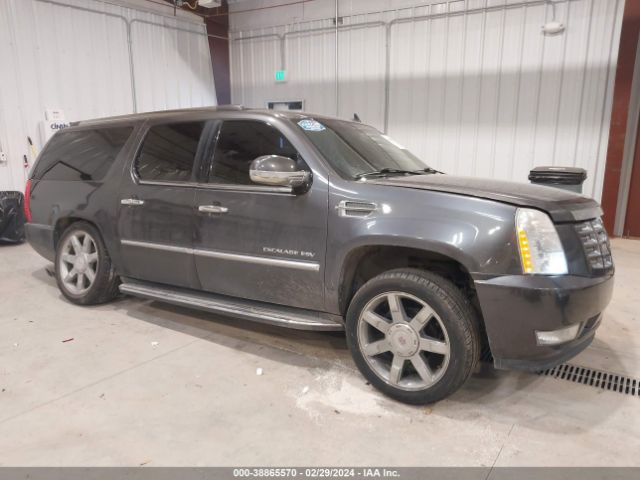 CADILLAC ESCALADE ESV 2011 1gys4hef0br186060