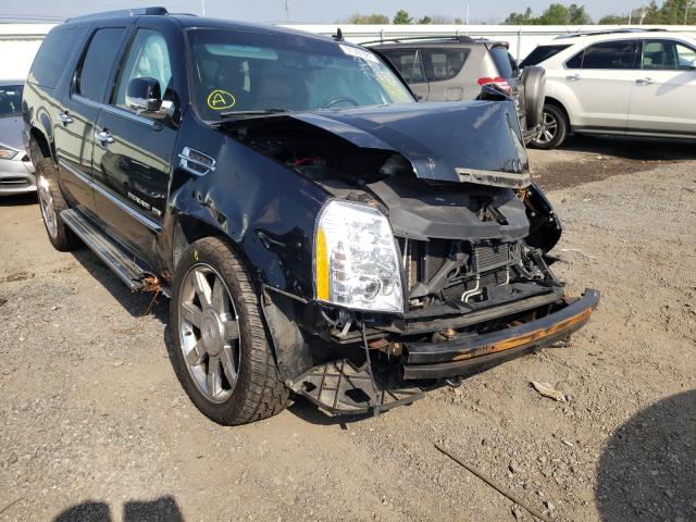 CADILLAC ESCALADE E 2011 1gys4hef3br103186