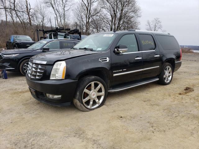 CADILLAC ESCALADE ESV 2011 1gys4hef5br380423