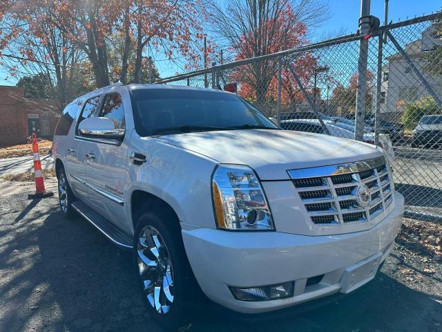 CADILLAC ESCALADE E 2011 1gys4hef8br101708