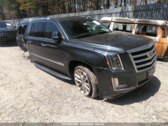 CADILLAC ESCALADE ESV 2019 1gys4hkj1kr357360