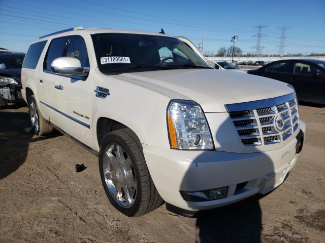 CADILLAC ESCALADE E 2011 1gys4jef1br134492