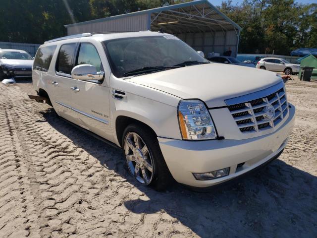 CADILLAC ESCALADE E 2011 1gys4jef3br125891