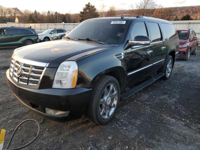 CADILLAC ESCALADE 2011 1gys4jef3br136731