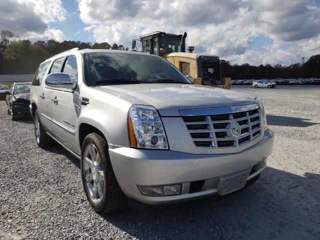 CADILLAC ESCALADE ESV 2011 1gys4jef4br121946