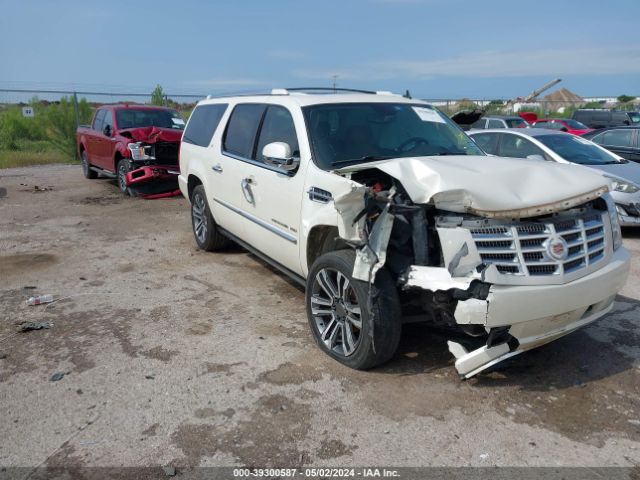 CADILLAC ESCALADE ESV 2011 1gys4jef4br132865