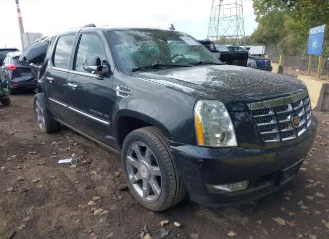 CADILLAC ESCALADE 2011 1gys4jef4br153067