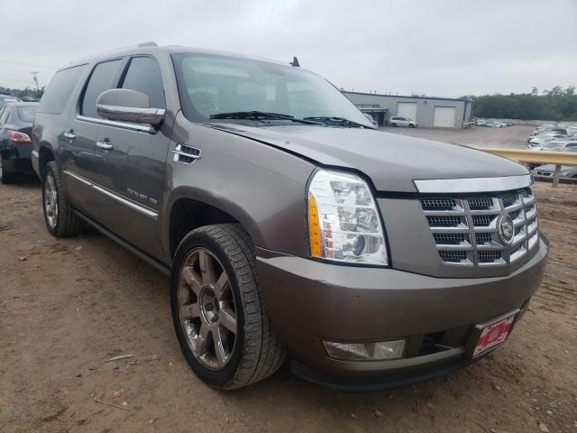 CADILLAC ESCALADE E 2011 1gys4jef4br351891