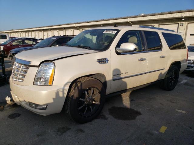 CADILLAC ESCALADE 2011 1gys4jef5br142238