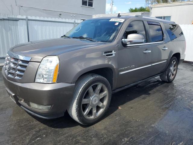 CADILLAC ESCALADE 2011 1gys4jef6br153426