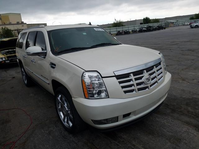 CADILLAC ESCALADE E 2011 1gys4jef6br156245