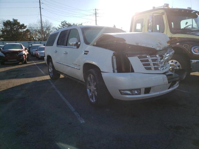 CADILLAC ESCALADE E 2011 1gys4jef6br324143