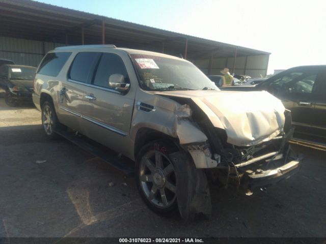 CADILLAC ESCALADE ESV 2011 1gys4jef7br118524