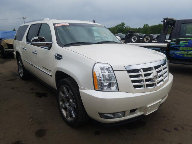 CADILLAC ESCALADE E 2011 1gys4jef7br309618