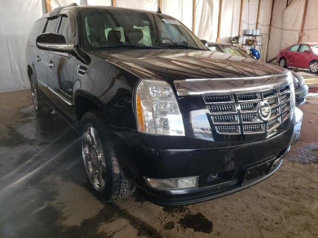 CADILLAC ESCALADE E 2011 1gys4jef8br113977