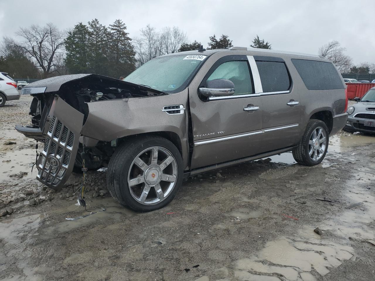 CADILLAC ESCALADE 2011 1gys4jef9br307241