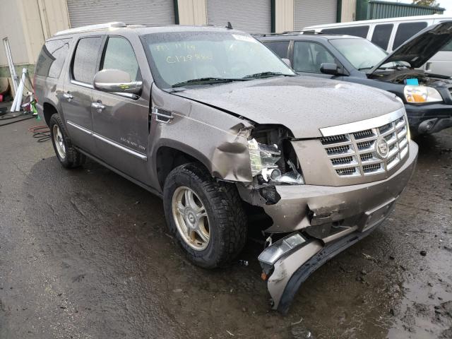 CADILLAC ESCALADE E 2011 1gys4jefxbr148813