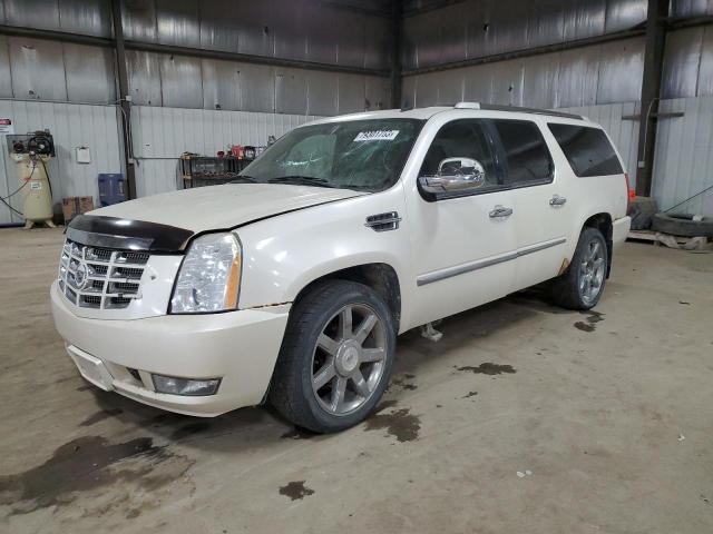 CADILLAC ESCALADE 2011 1gys4jefxbr194108