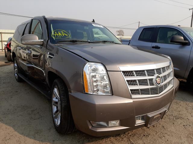 CADILLAC ESCALADE E 2011 1gys4kef3br385679