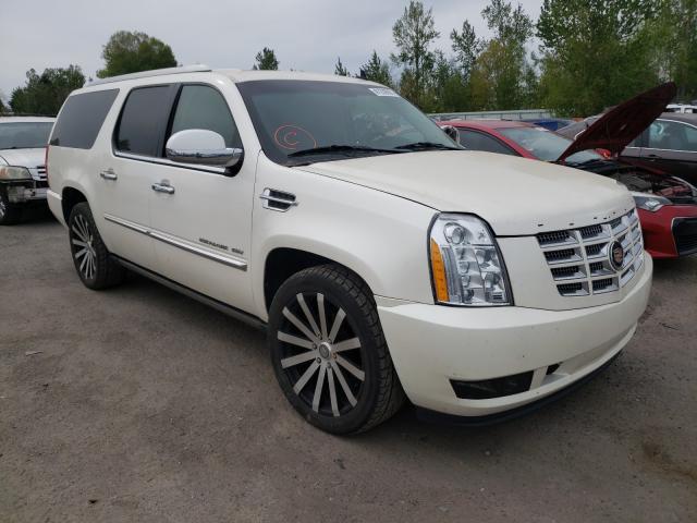 CADILLAC ESCALADE E 2011 1gys4kef9br383547