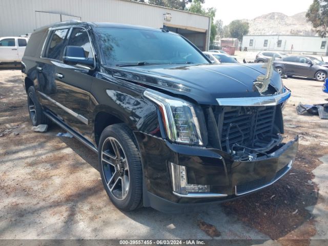 CADILLAC ESCALADE ESV 2020 1gys4kkj9lr125622