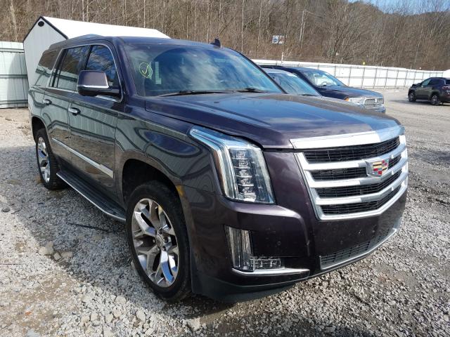 CADILLAC ESCALADE P 2015 1gys4mkj9fr519153