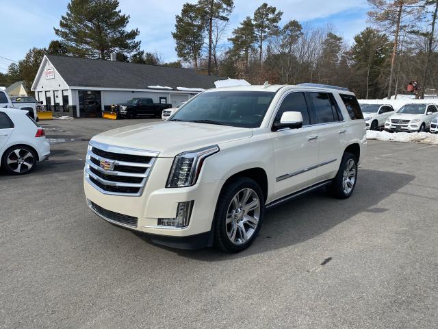 CADILLAC ESCALADE P 2015 1gys4nkj2fr656991