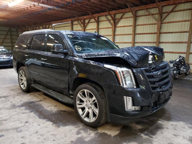 CADILLAC ESCALADE P 2015 1gys4nkj7fr606944