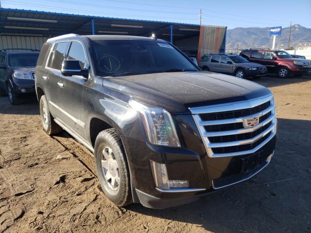 CADILLAC ESCALADE P 2015 1gys4nkj7fr637840