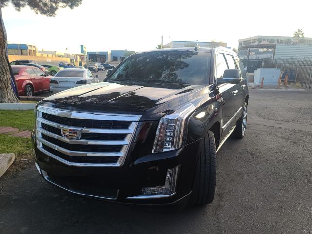 CADILLAC ESCALADE P 2015 1gys4nkj8fr523166