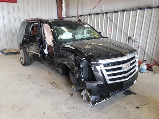 CADILLAC ESCALADE P 2015 1gys4nkj9fr522530