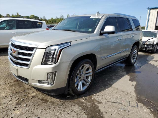 CADILLAC ESCALADE P 2015 1gys4nkjxfr506546