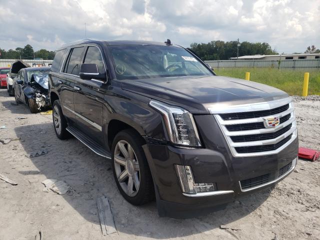 CADILLAC ESCALADE P 2015 1gys4nkjxfr558307