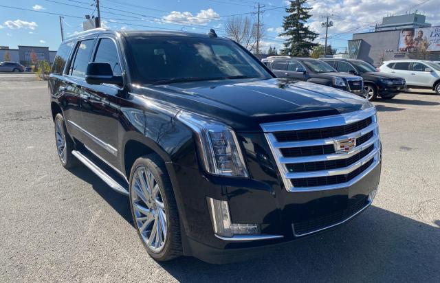 CADILLAC ESCALADE P 2015 1gys4nkjxfr659878