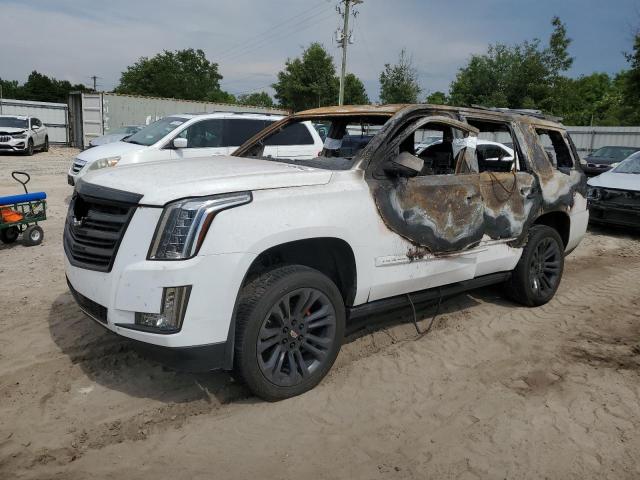 CADILLAC ESCALADE P 2015 1gys4pkj5fr589606