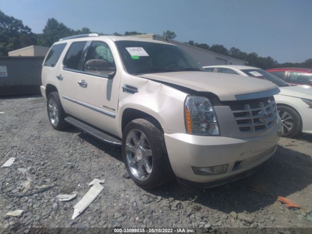 CADILLAC ESCALADE 2010 1gyucaef0ar226512