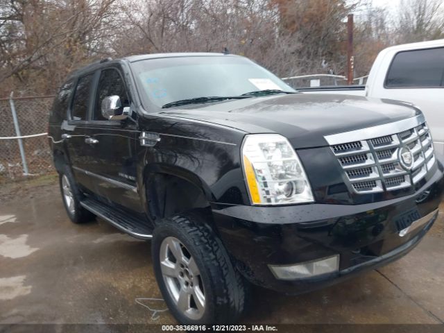 CADILLAC ESCALADE 2010 1gyucaef1ar135975