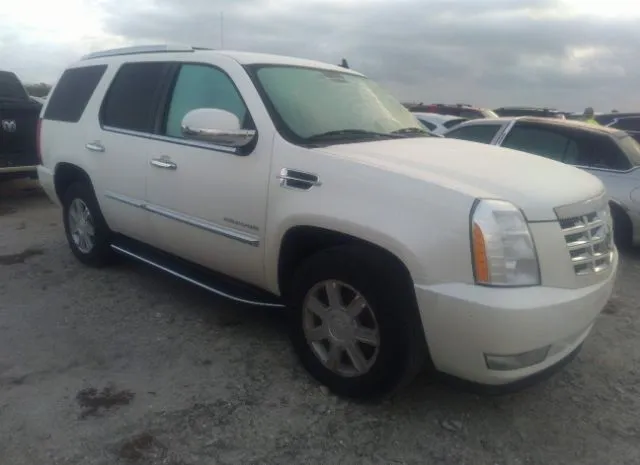 CADILLAC ESCALADE 2010 1gyucaef1ar158656