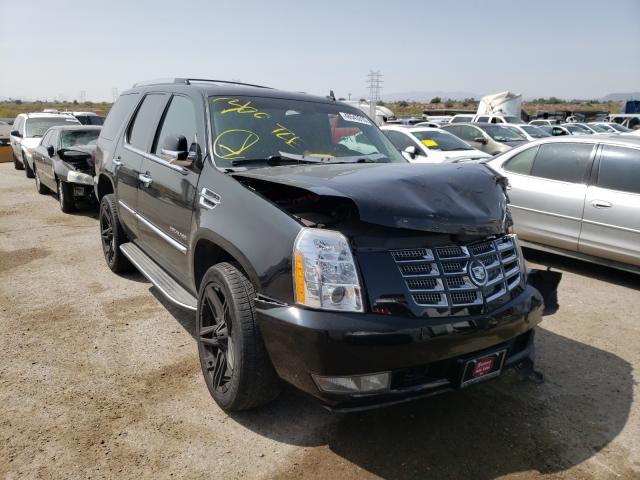 CADILLAC ESCALADE 2010 1gyucaef3ar261769