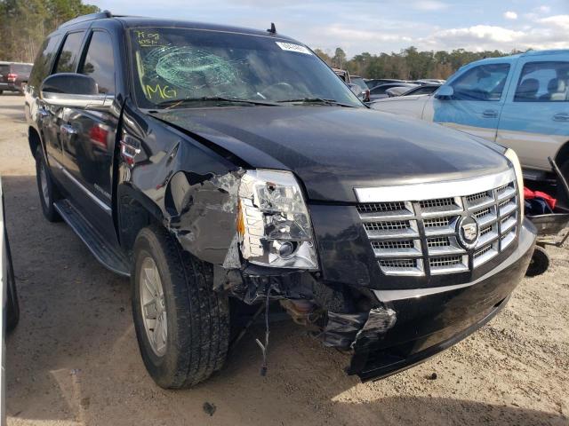 CADILLAC ESCALADE 2010 1gyucaef5ar176609