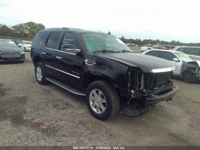 CADILLAC ESCALADE 2010 1gyucaef6ar261765