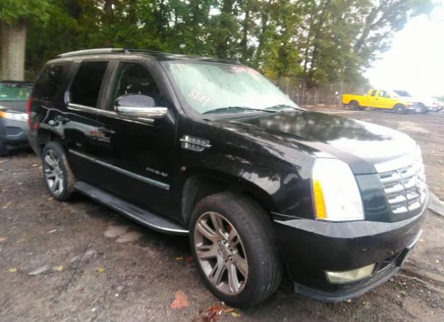 CADILLAC ESCALADE 2010 1gyucbef0ar100348