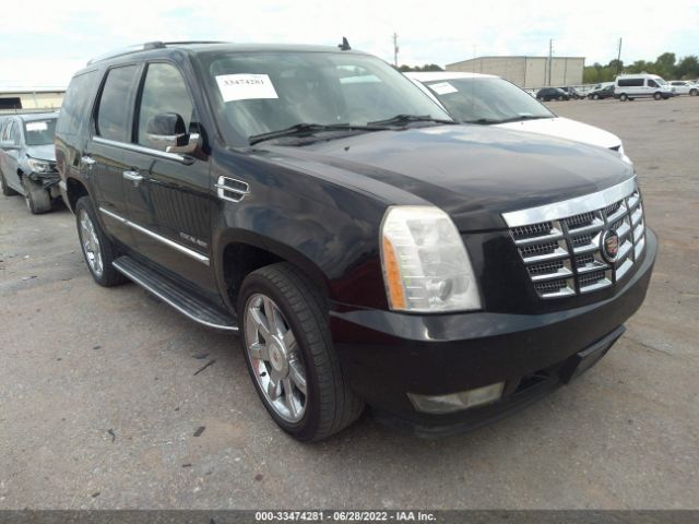 CADILLAC ESCALADE 2010 1gyucbef3ar148328